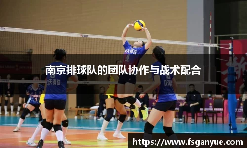 南京排球队的团队协作与战术配合
