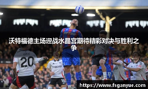 球信网官方网站